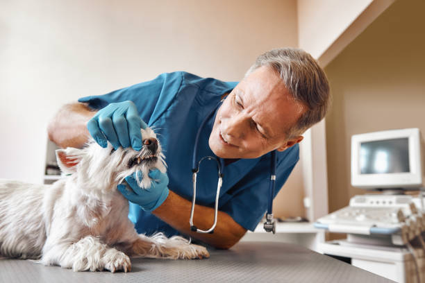 Best Emergency Tooth Extraction in Fairview, TX