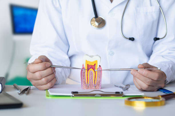Best Cosmetic Emergency Dentistry in Fairview, TX